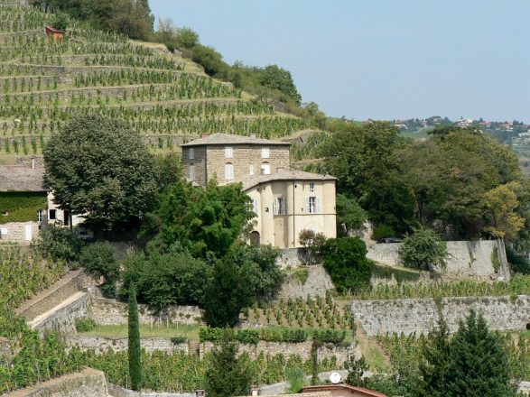 Chateau Grillet